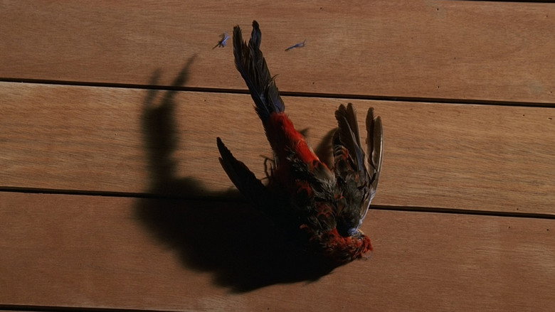 Lost: S01E14 — Σπέσιαλ