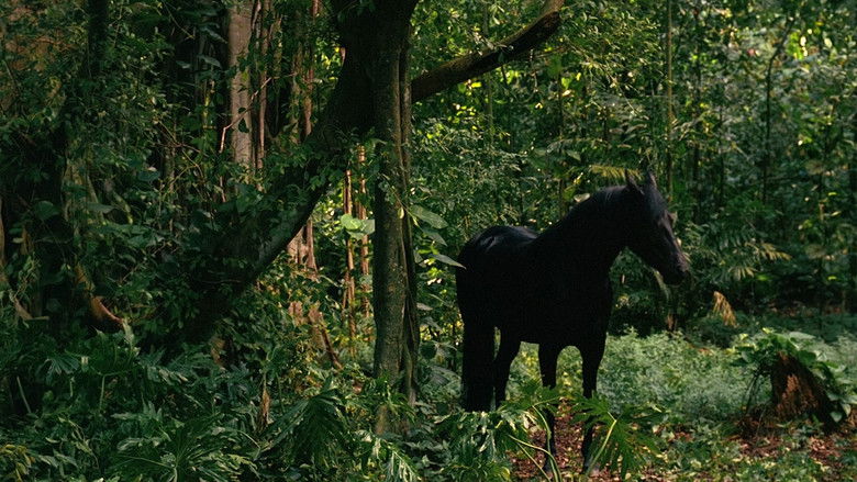 Lost: S02E09 — Αυτό που έκανε η Κέιτ